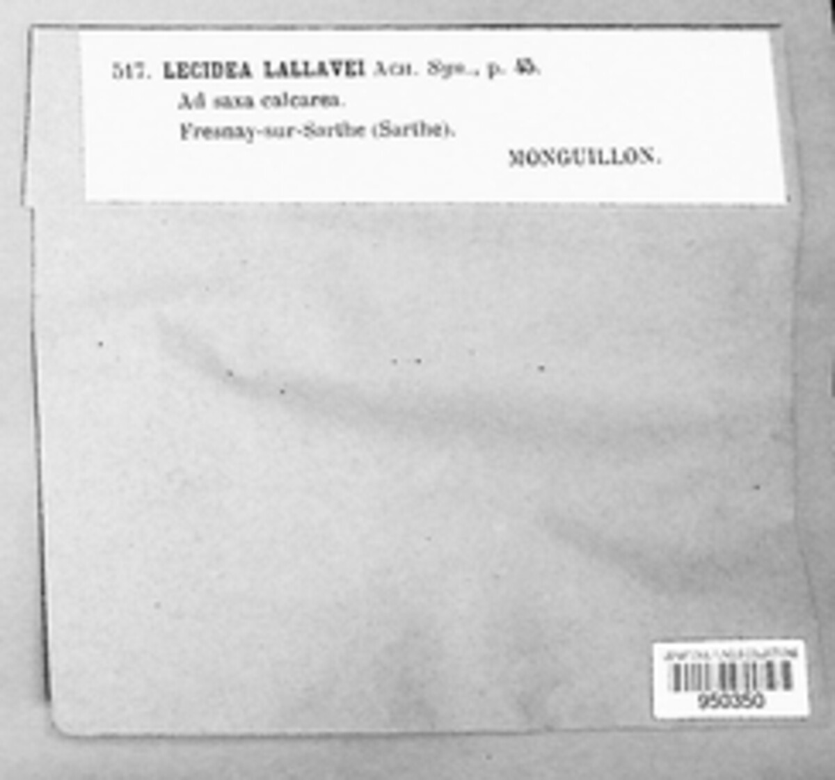 Kuettlingeria image